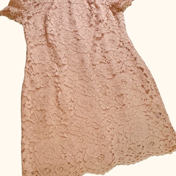 RALPH LAUREN NWT Dress sz18 Lt Pink Fliral Lace Overlay Lined Above Knee Classy - Picture 12 of 16